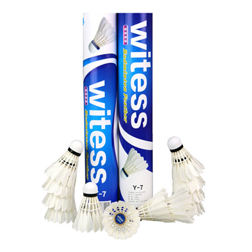 WITESS Y-7��ë��