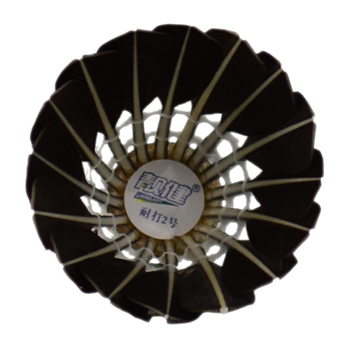 �����ʹ�2����ë��ͼ1