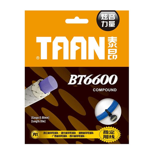 ̩��BT6600��ë������ͼ1