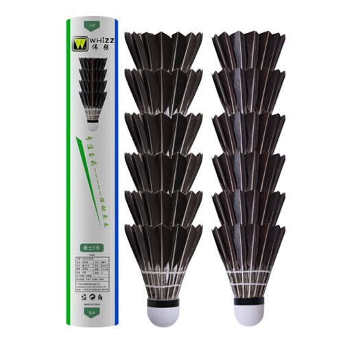 ΰǿ��ʿ5����ë��