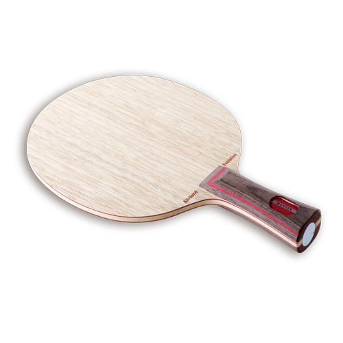 ˹�ٿ�ALLROUND EVOLUTIONƹ����װ�