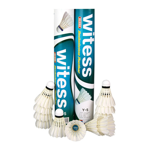 WITESS Y-5��ë��