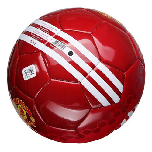 ���ϴ�˹MUFC����ѵ������ͼ1