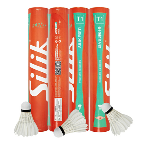 ˹����T1��ë��ͼ1