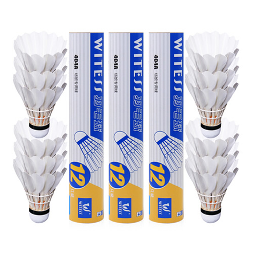 WITESS 404A��ë��