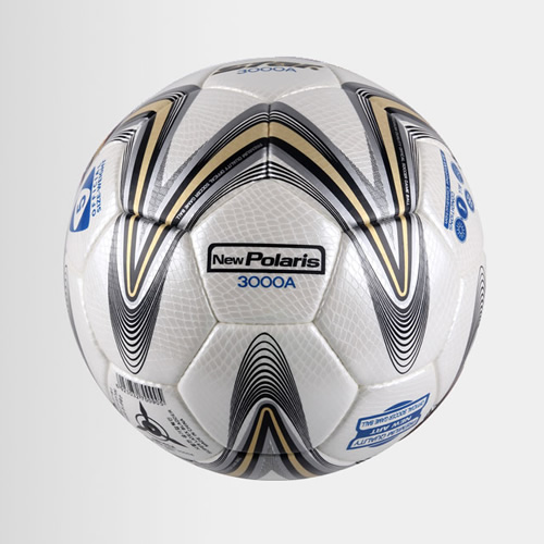 ����New Polaris3000����