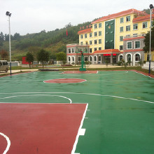 �۲ʻ� רҵ���� ������ϩ���� ѧУ��ϩ����