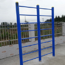 ����ֱ��ѧУ�������� ��԰�㳡�������⽡��·��˫λ��ľ ˫����ľ