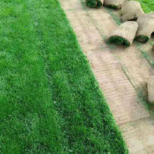 ���� TPE����������� ����������tpe TPE�����ƺ������������Ե����𽺿���