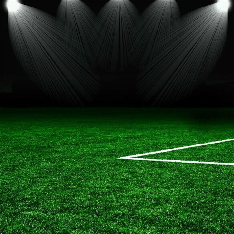 ̩�����������ƺ,�����ƺ�ٳ�,���������ƺ