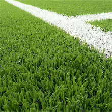 ʤ�� �����ƺ���������ƺ