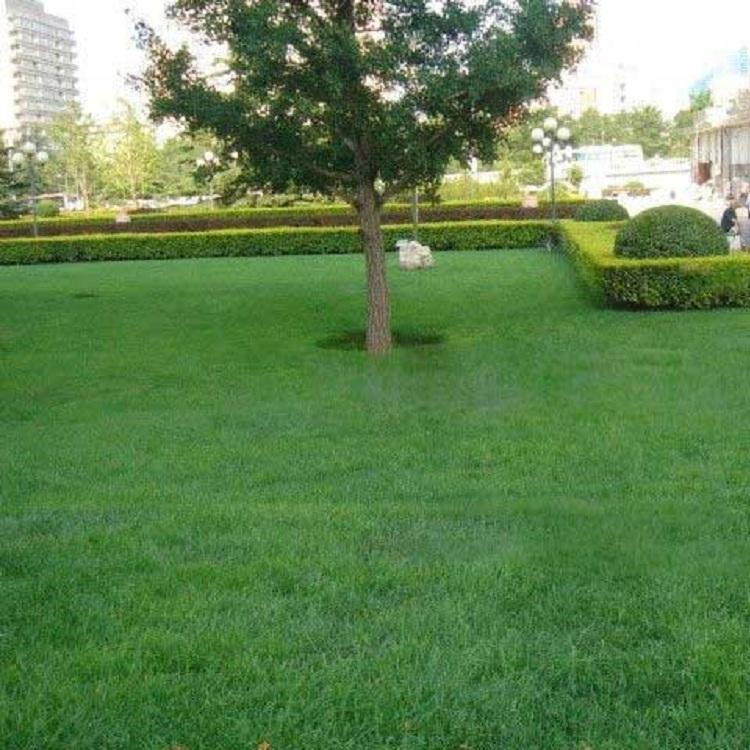 �������� ���������ƺ ¥�������ƺ �õķ���