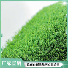 ���� �����ƺ��ɰ�� �����ƺ����