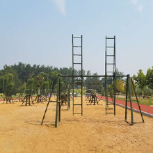 �������ĳ��Ҷ��� С����԰�����˶��������� �������������ļӹ�����